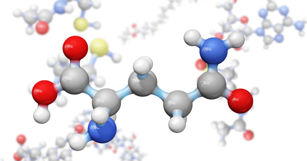 aminoacids 2