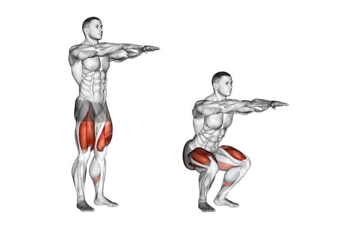 bodyweight squats
