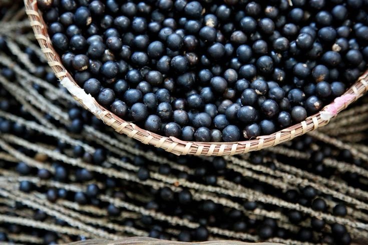 every food that can keep your skin looking young and healthy