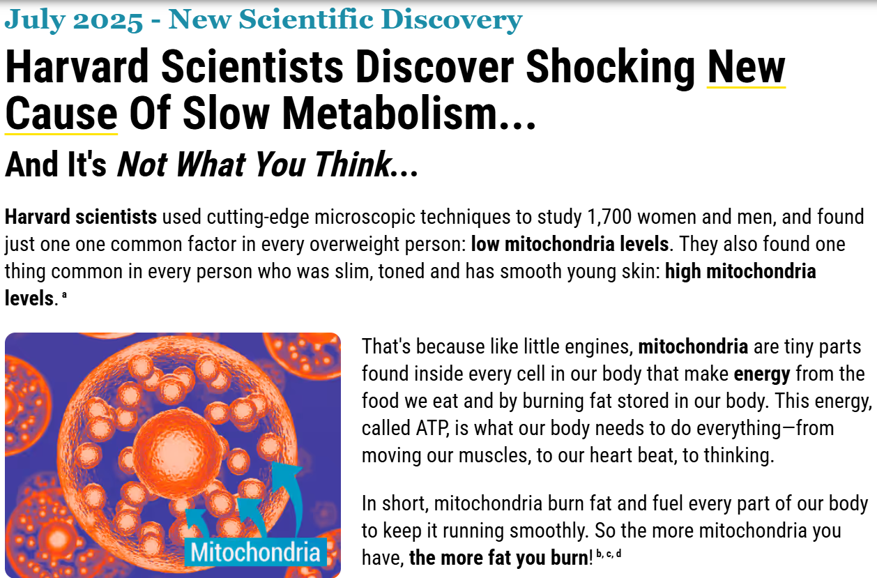 how to burn fat immediately