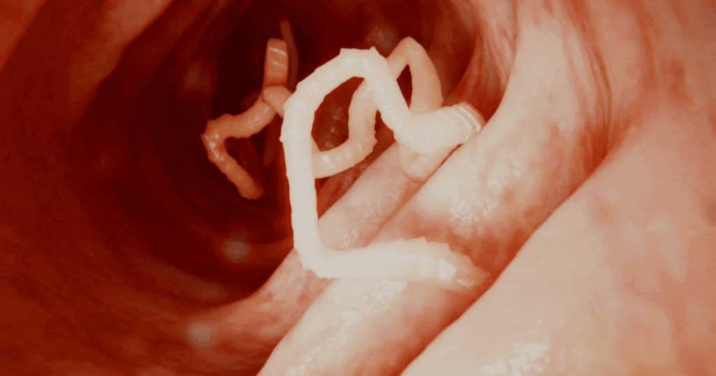 parasite gif