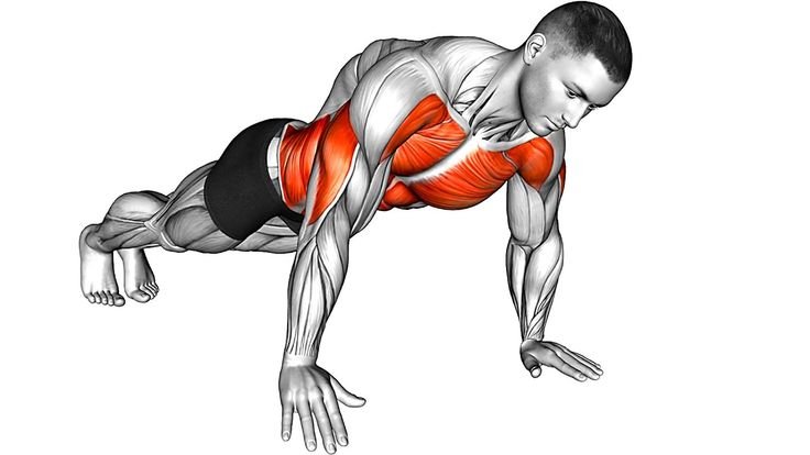 the best push up workout for chest and arms