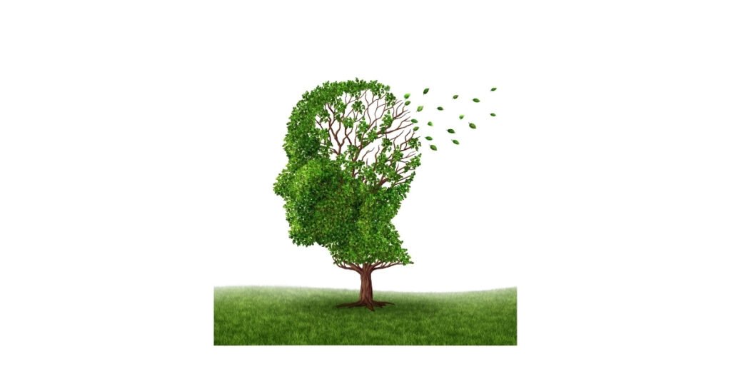 vitamin b12 deficiency and dementia the shocking link