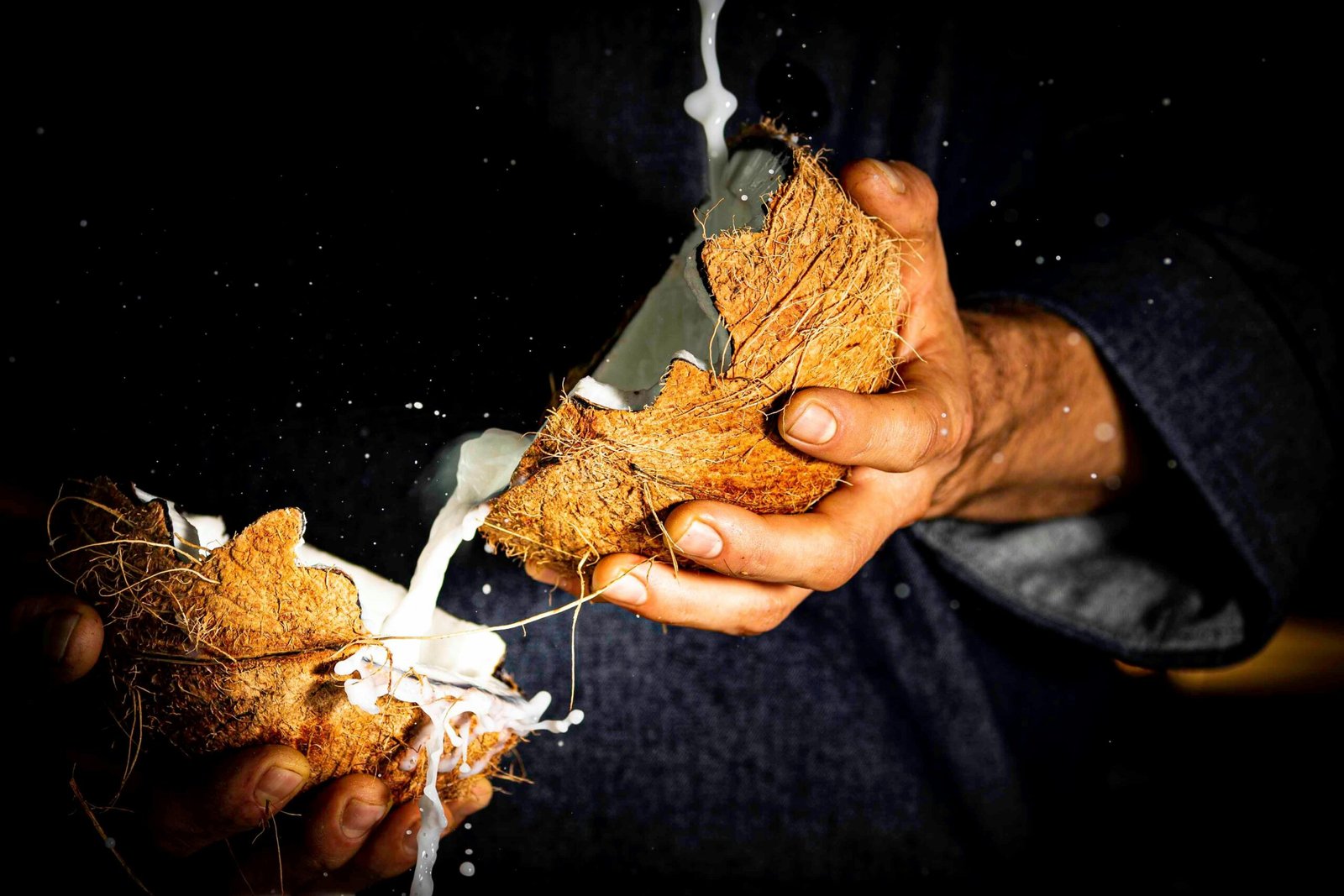Close-up of fresh coconut milk spilling as hands crack open a coconut shell. Nutritious tropical delight.